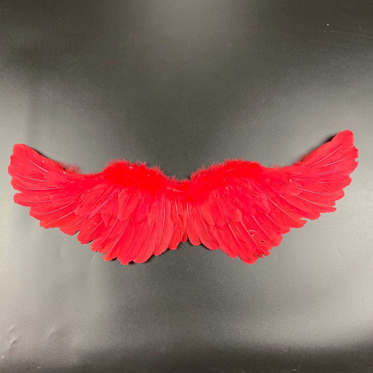 1c69e468db5575ef33b2f931aab85065