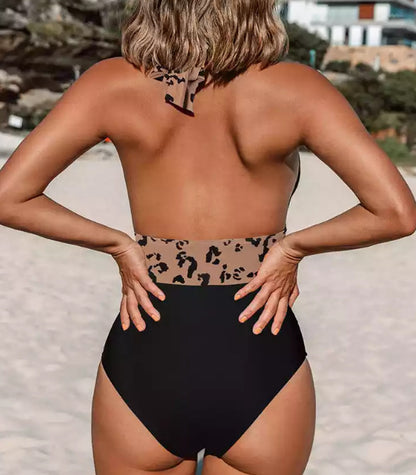 Deep V Open Back One-piece Bikini
