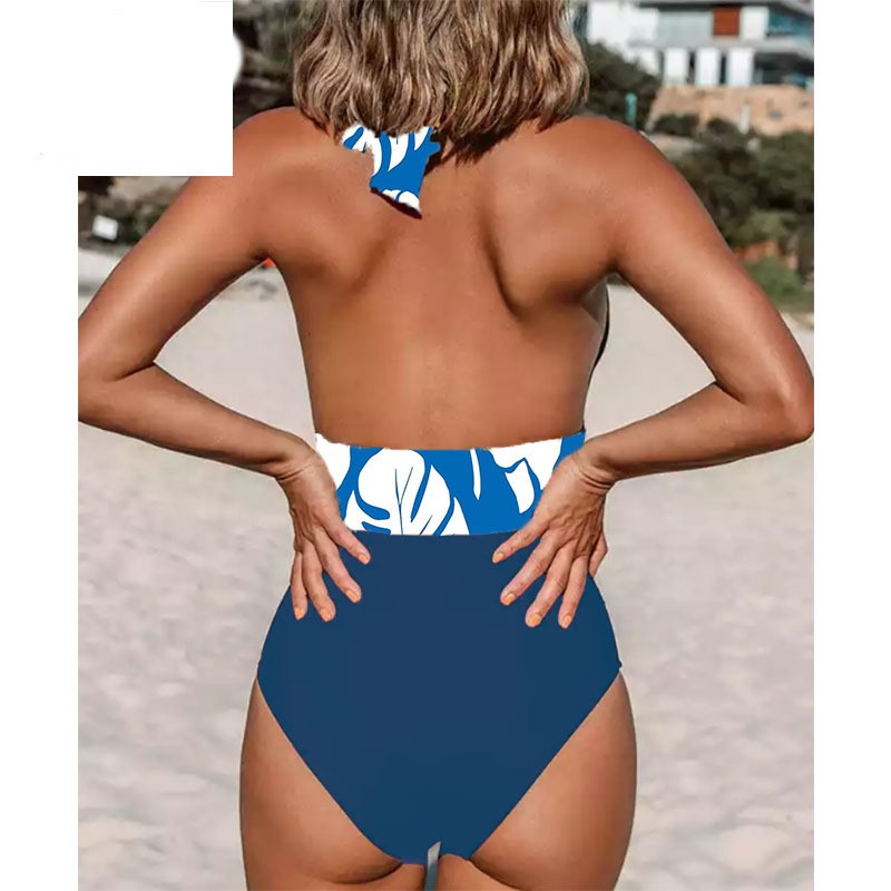 Deep V Open Back One-piece Bikini